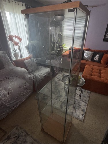 Ikea detolf glass door display - ikea,